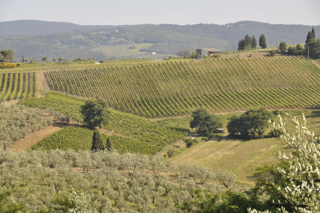 Agriturismo Renai E Monte II Gambassi Terme Exteriör bild